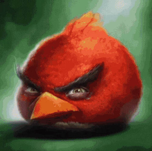 angriest_birds