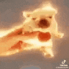 burn_pibble