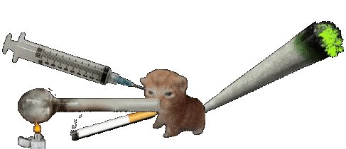crackbert