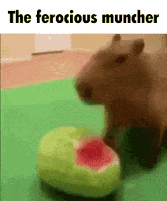 ferocious_muncher