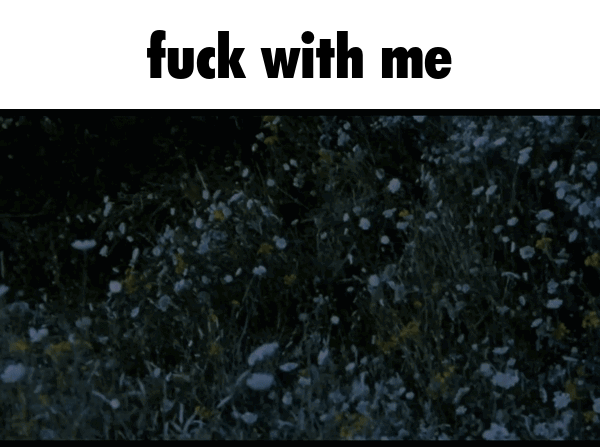fuck_with_me