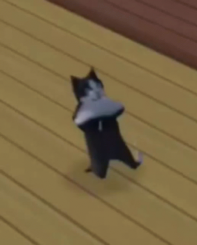 groovy_cat