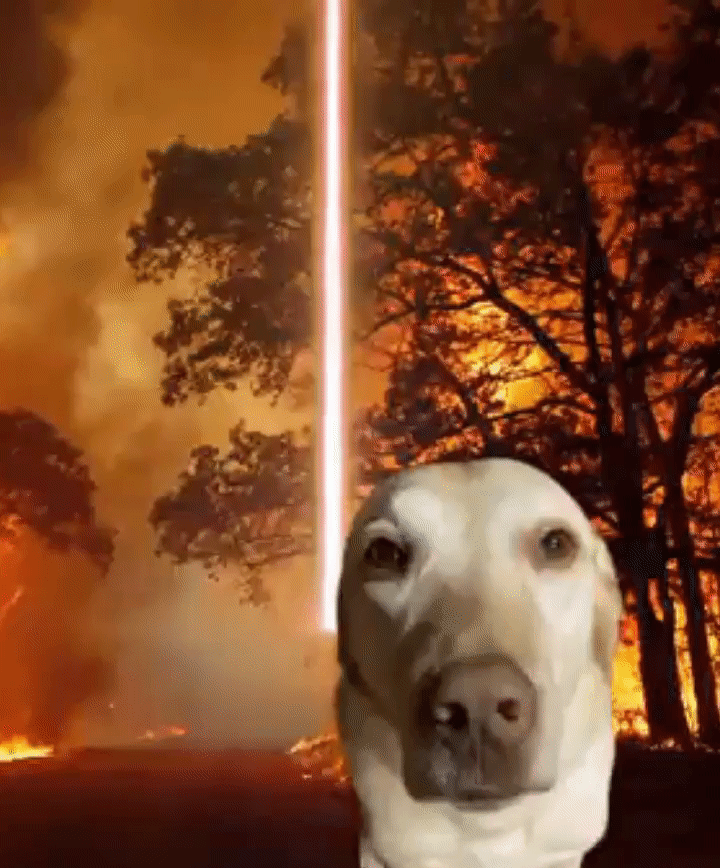 orbital_laser_dog
