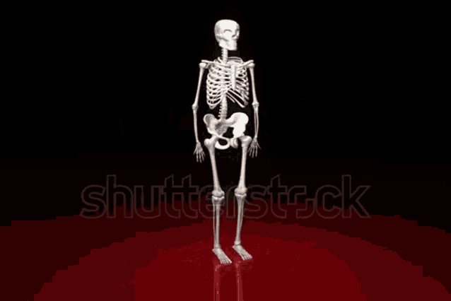 skeleton_shatter