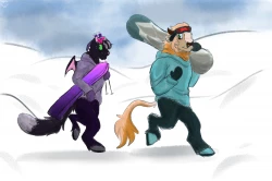 Snowboard Lessons